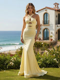 Halter Satin Mermaid Long Prom Dresses